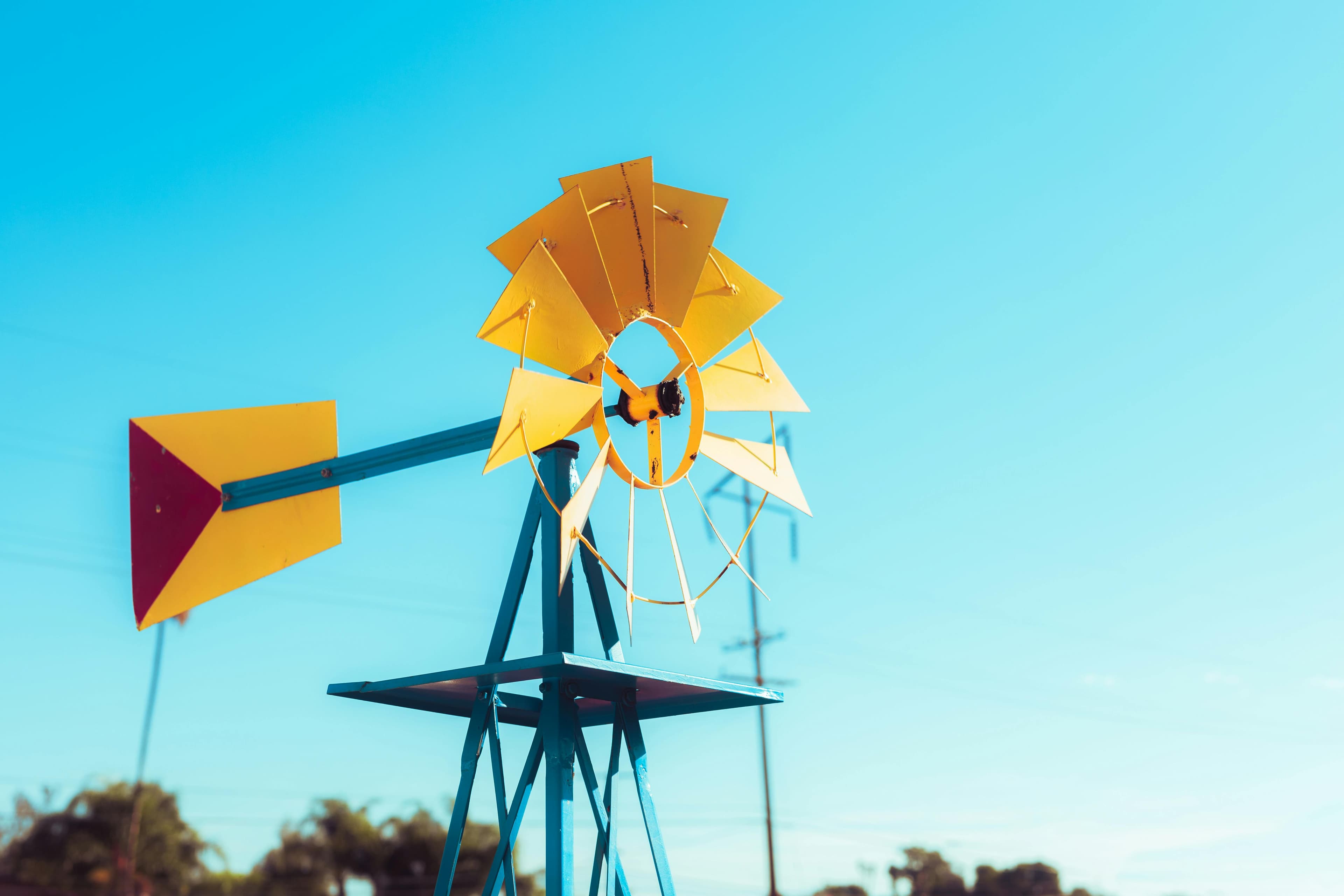 Building Sustainable Technology Ecosystems